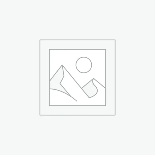 The Mindful Trader Mastery Course